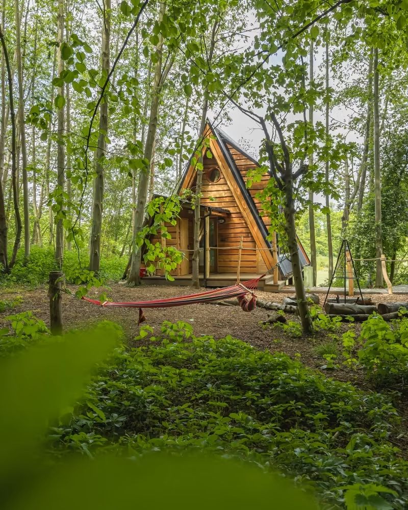 image-3cf55333832cb7e25bf3910e04e8323e254a9fc1-800x1000-jpg