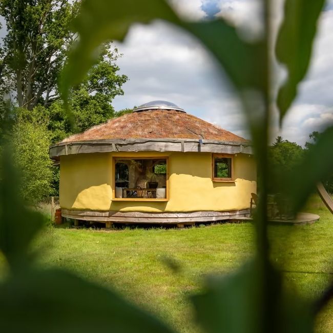 image-dbfdff6112536aef4a1c606b273a8efc49ed41c9-800x1000-jpg