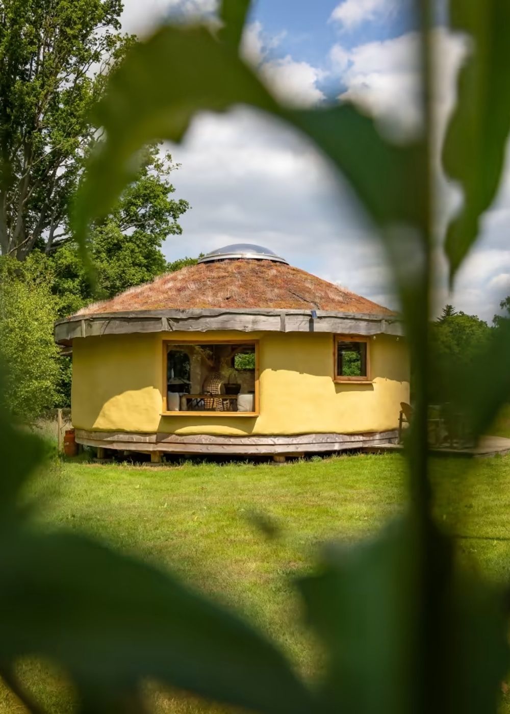 image-dbfdff6112536aef4a1c606b273a8efc49ed41c9-800x1000-jpg