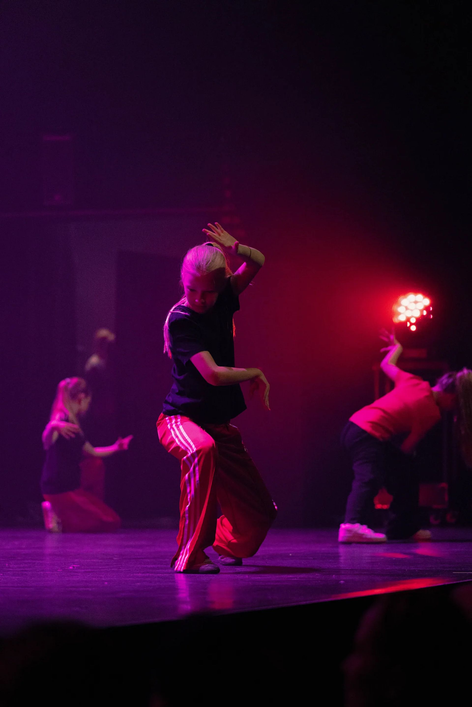 Spring show 2026, photo 163 of 206