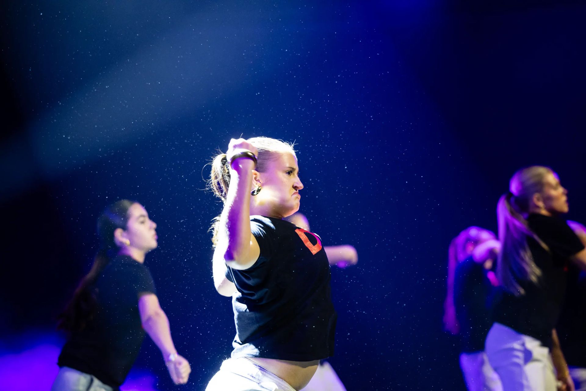 Christmas show 2025, photo 9 of 212