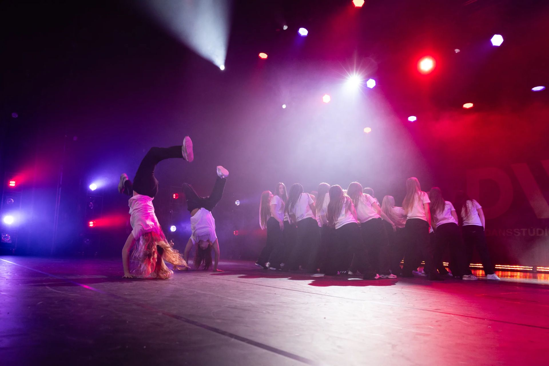 Spring show 2025, photo 75 of 114