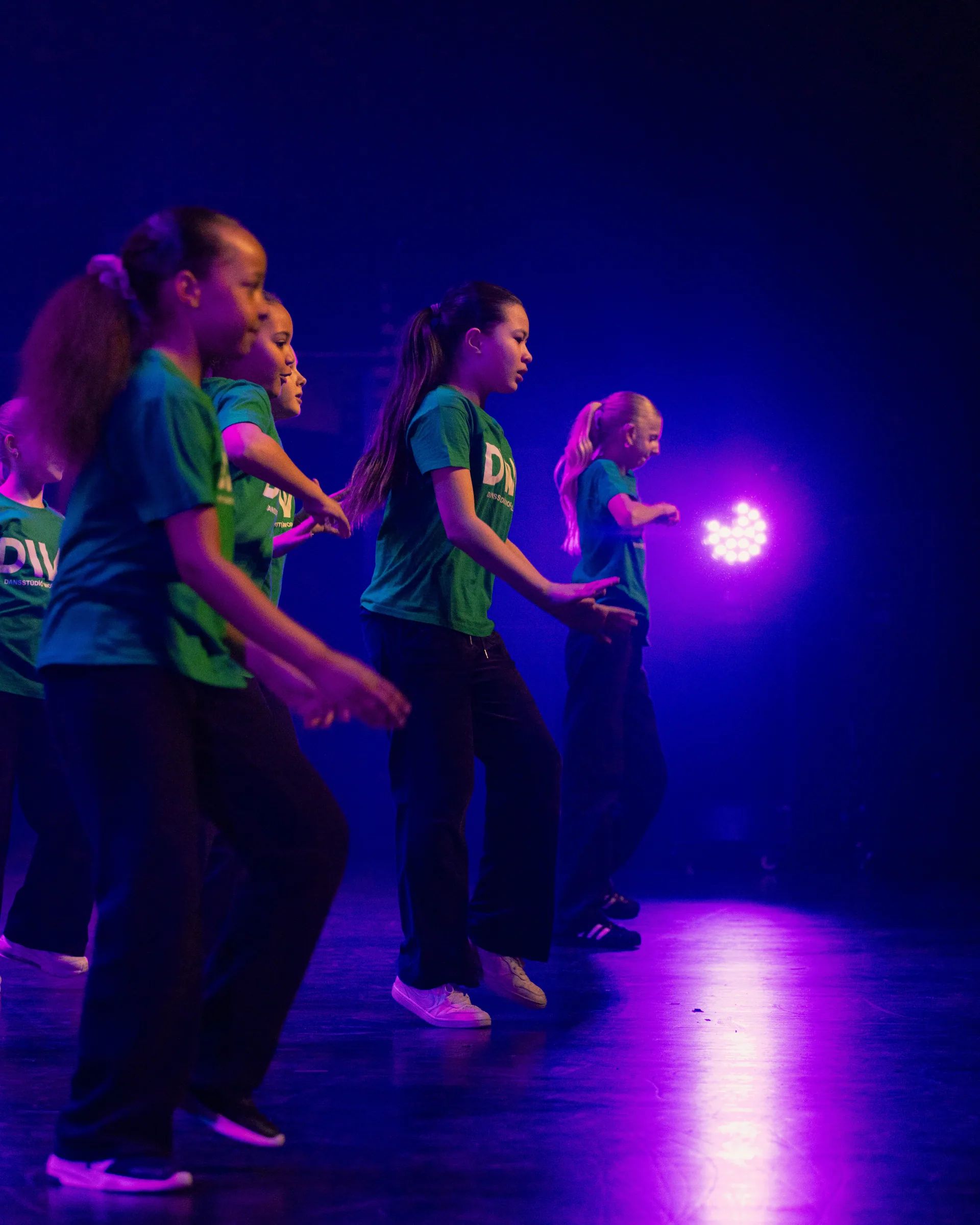Spring show 2026, photo 177 of 206