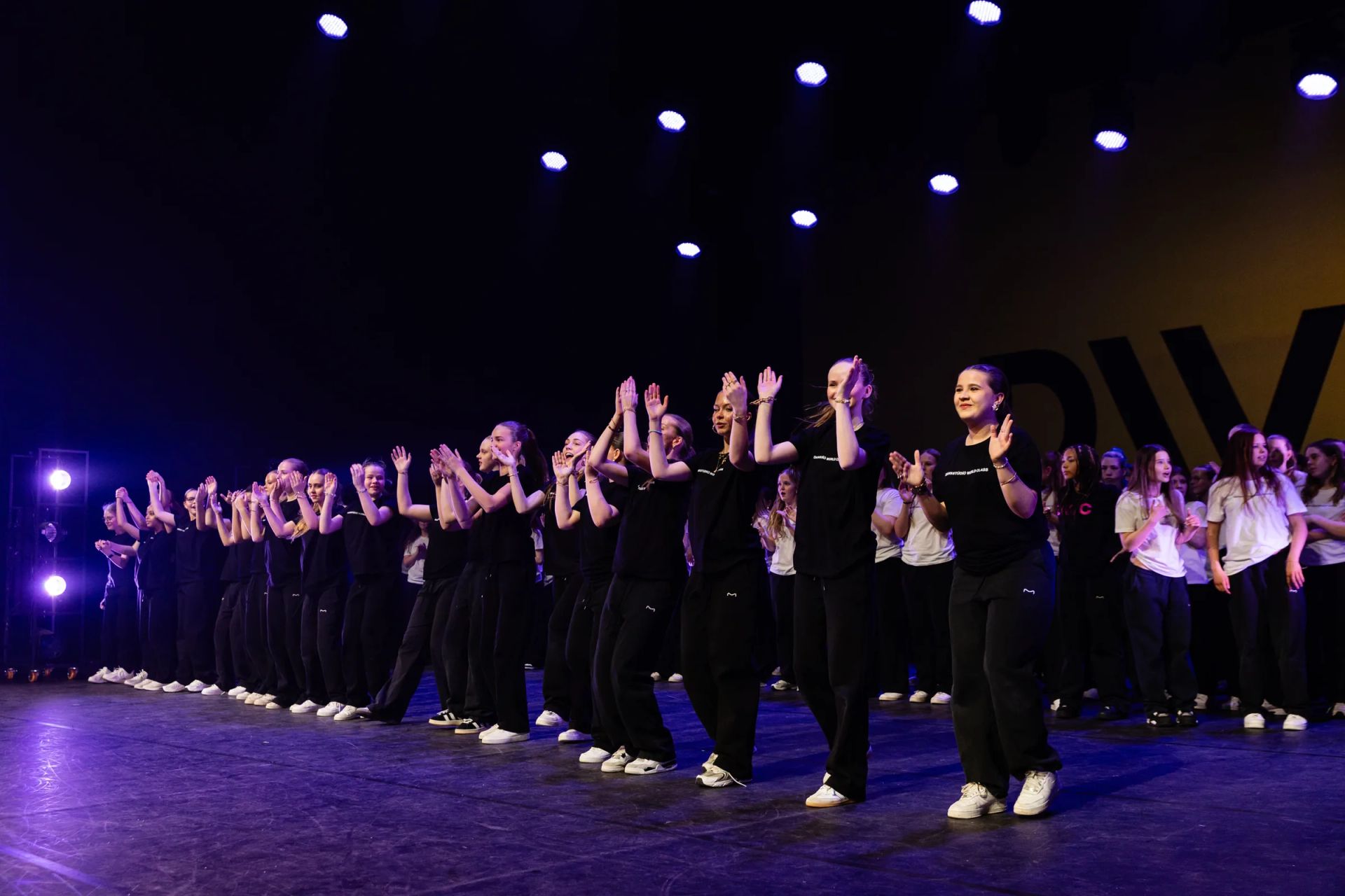 Spring show 2025, photo 98 of 114