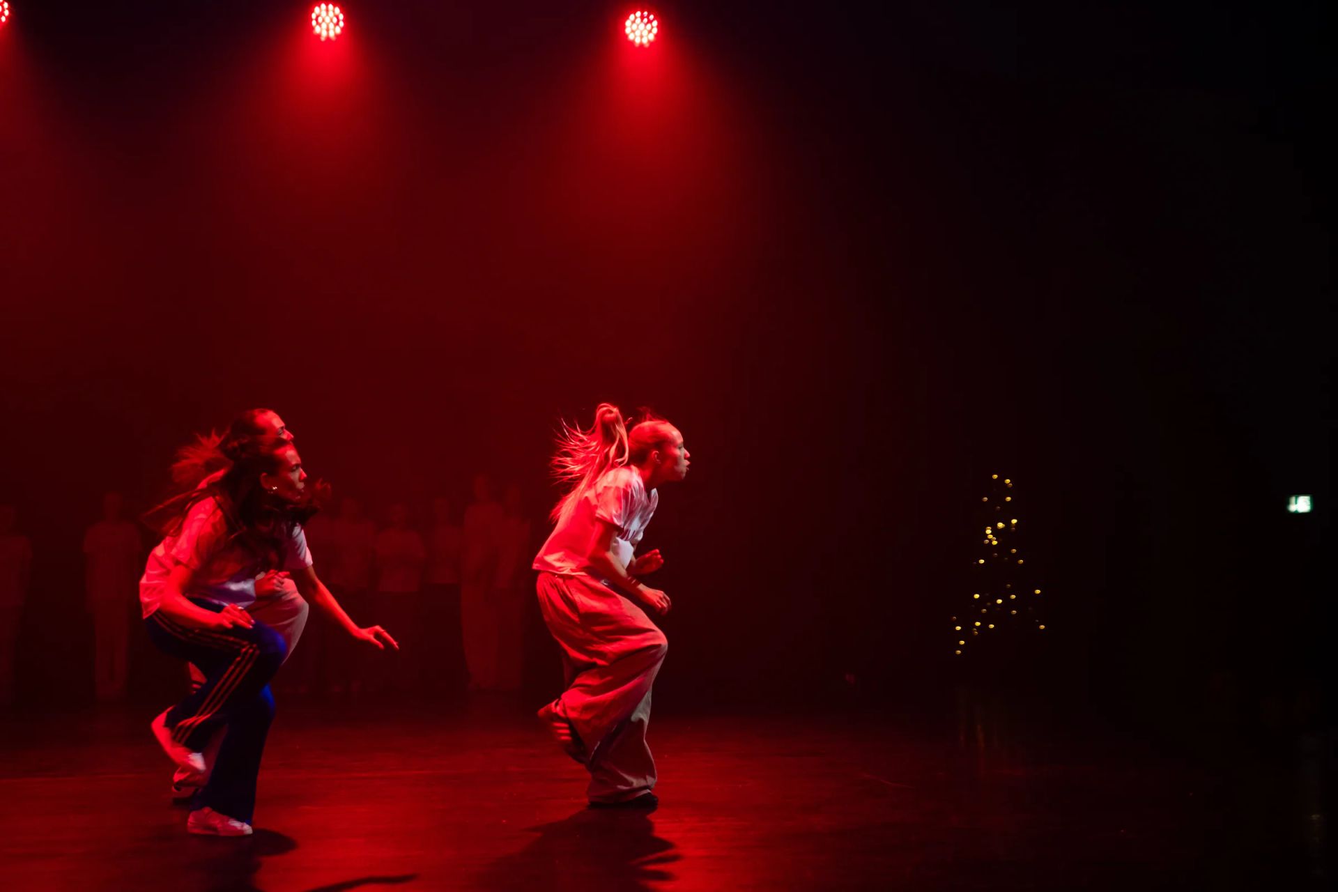Christmas show 2025, photo 28 of 212