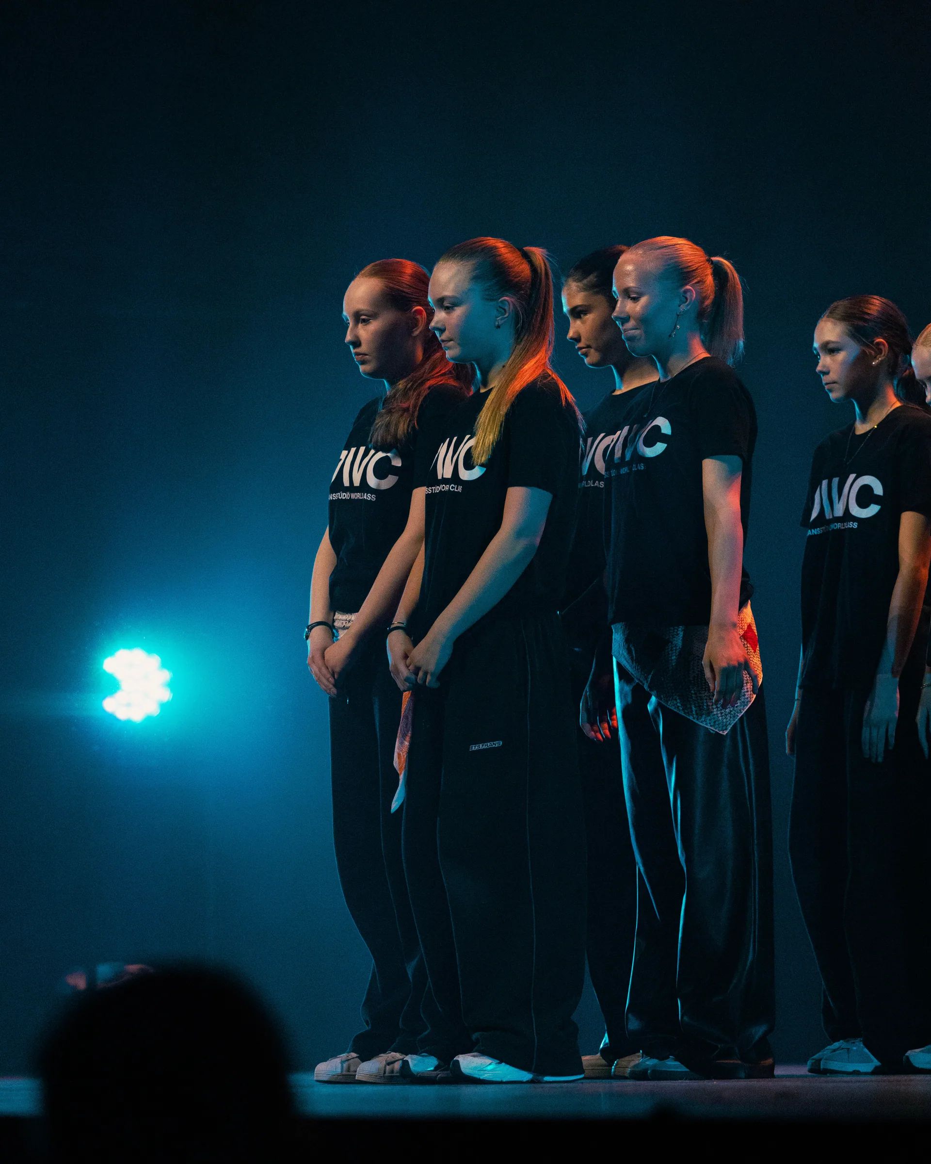 Spring show 2026, photo 185 of 206