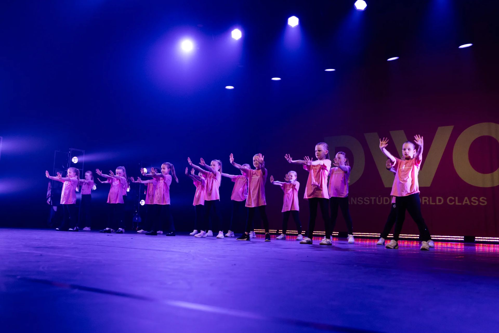 Spring show 2025, photo 60 of 114