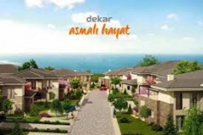 DEKAR ASMALI HAYAT