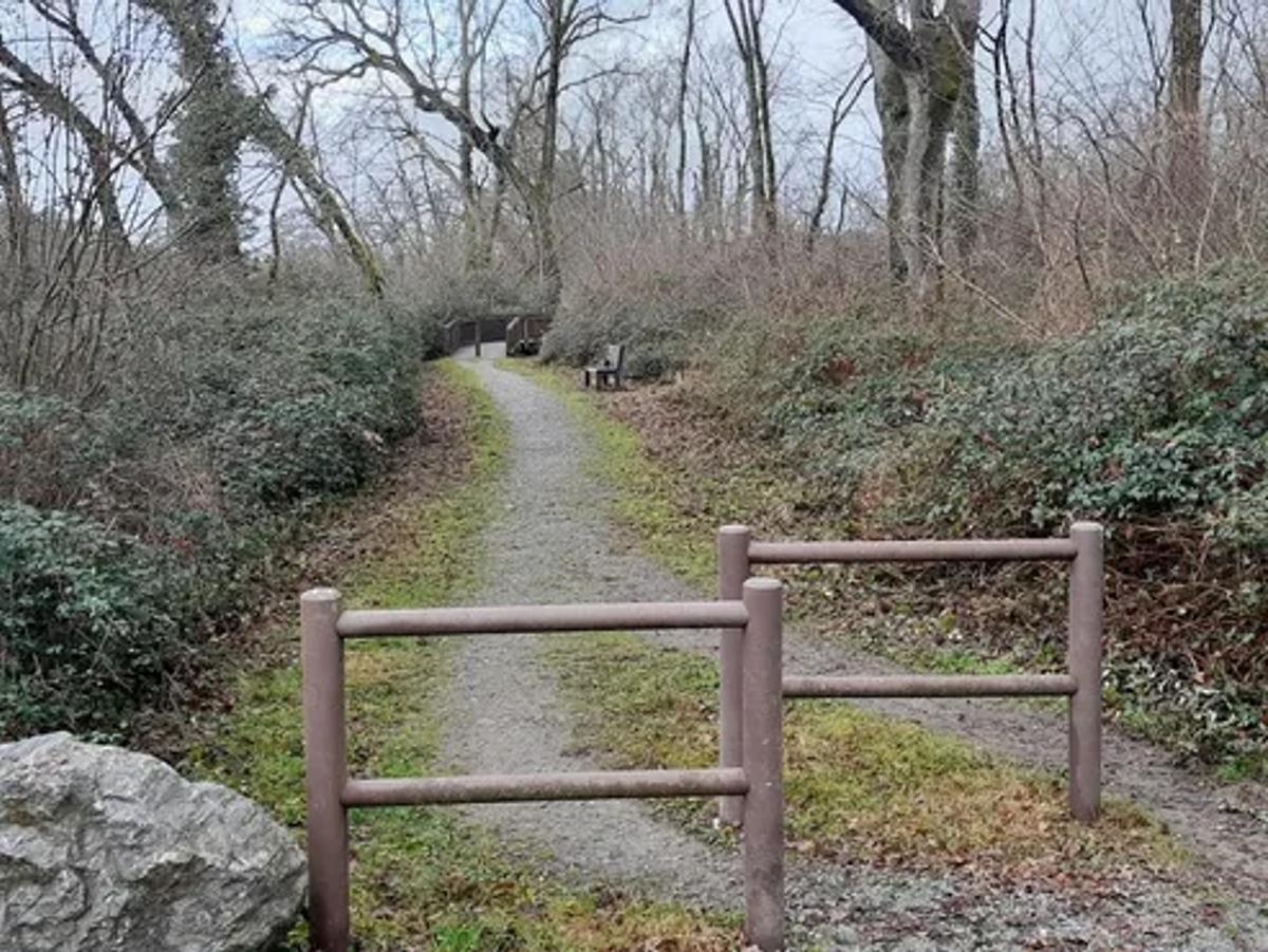 Chemins de randonnée entretenus par nos chantiers