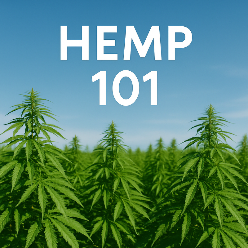 Hemp 101: Everything You Need to Know in 2025