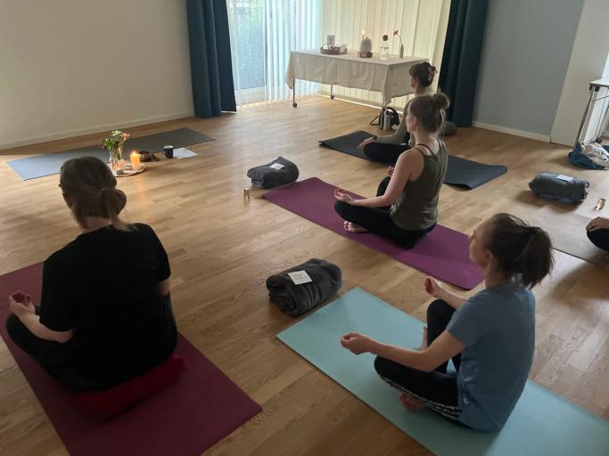 Thumbnail Vinyasa Yoga