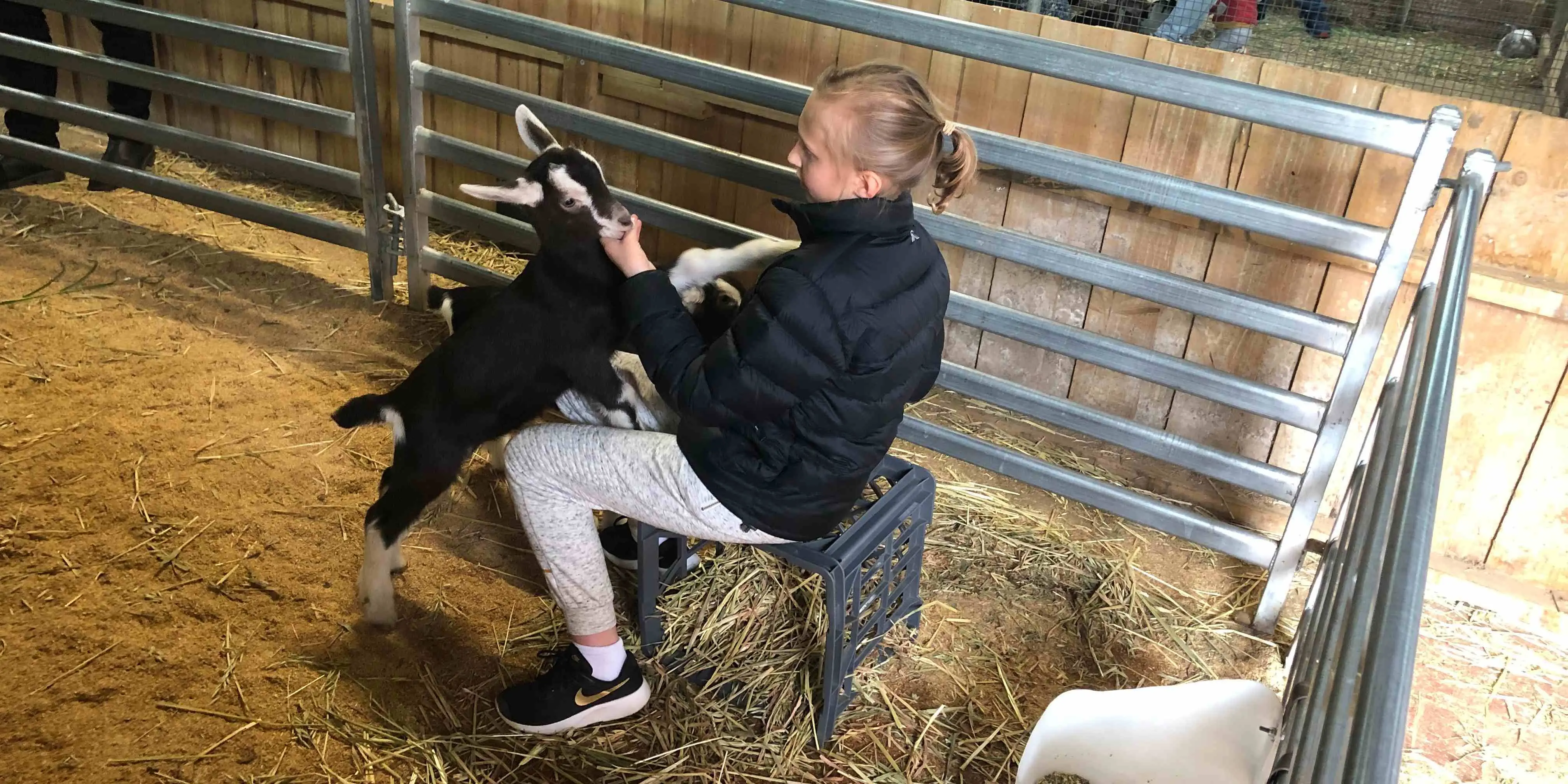 Make-A-Wish Australia wish kid Ava at a farm with a baby goat