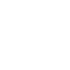 Icon of a telephone in white