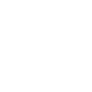 Icon of a magic wand in white