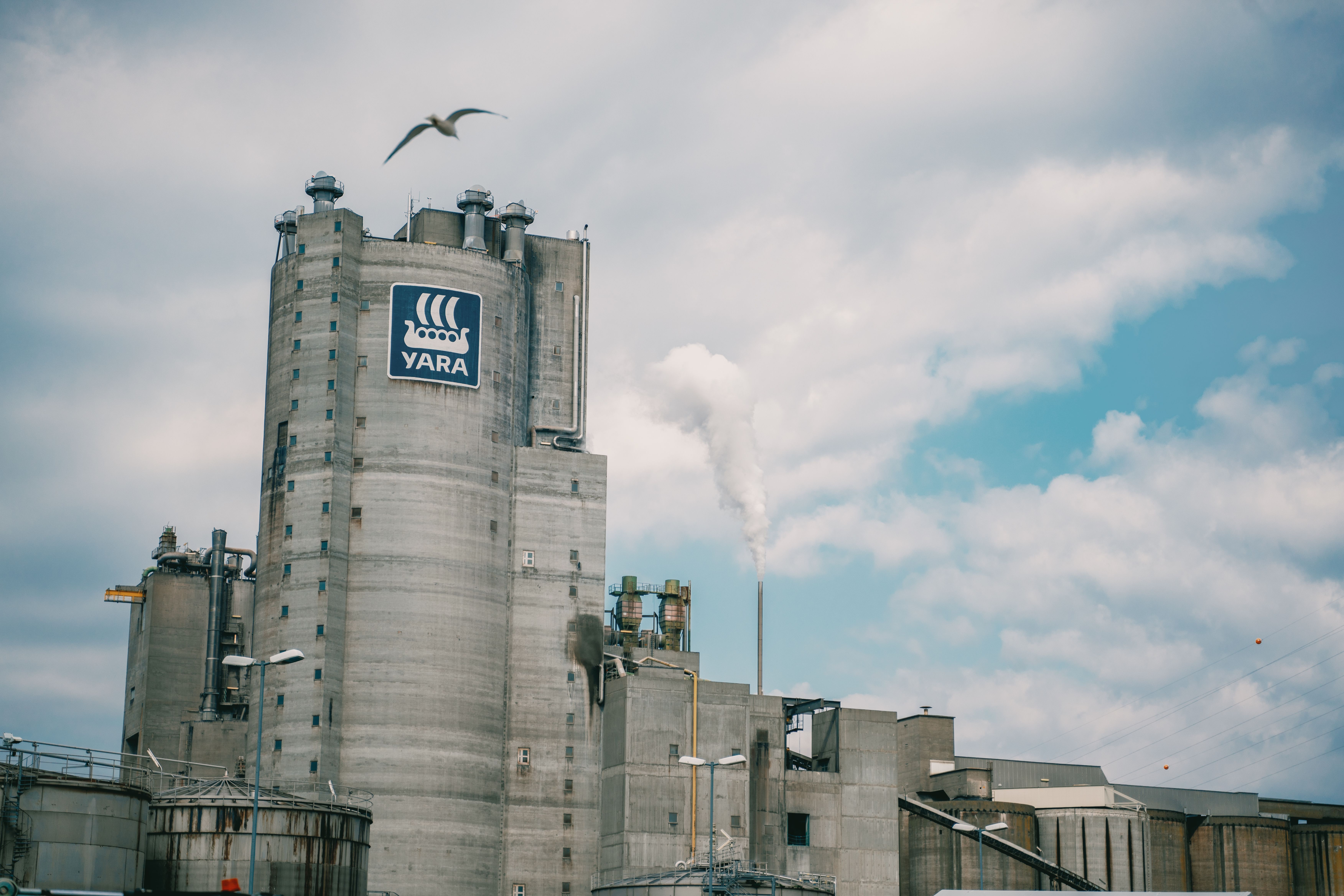 En måse flyr over Yara-fabrikken på Herøya 
