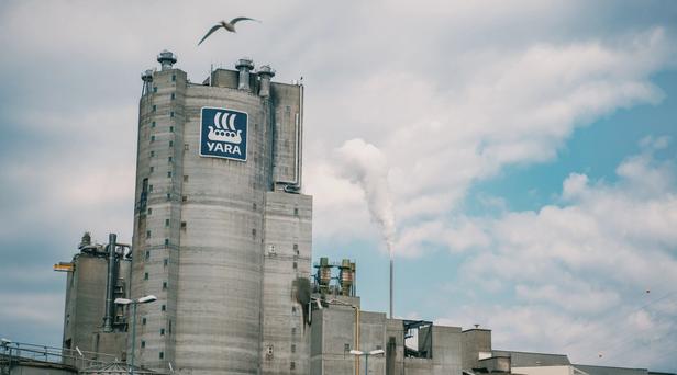 En måse flyr over Yara-fabrikken på Herøya