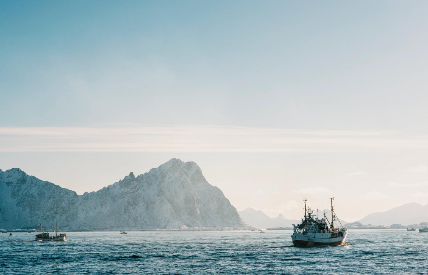 Fiskefartøy på fjorden