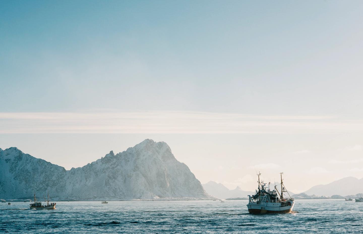 Fiskefartøy på fjorden