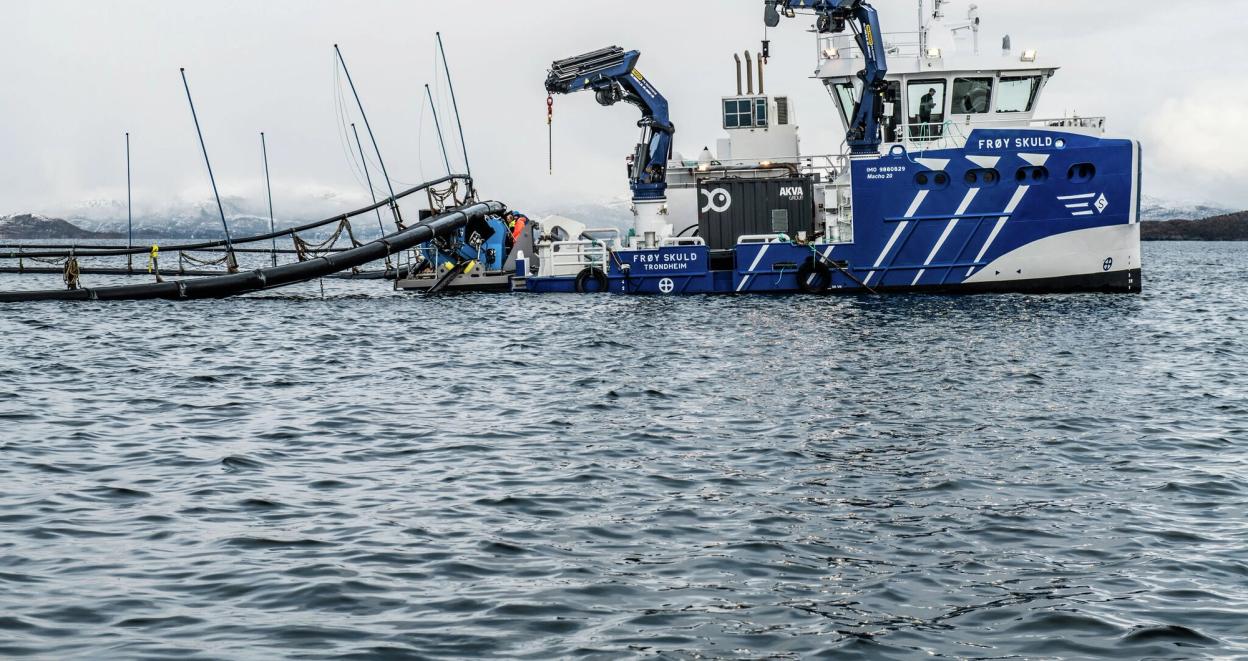 Hybridfartøy i Frøygruppen