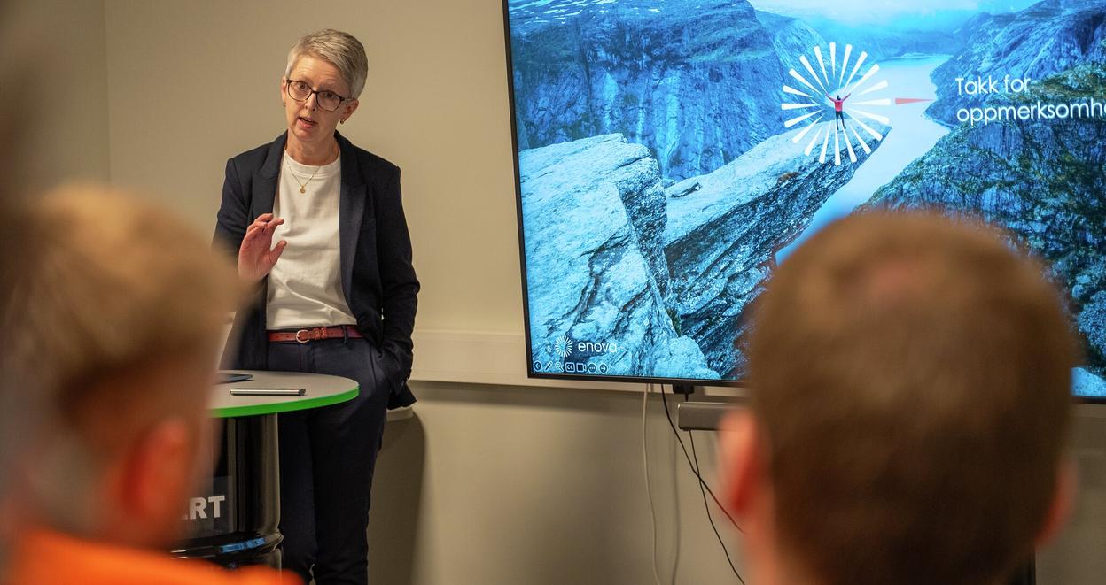 Enovaansatte i et foredrag