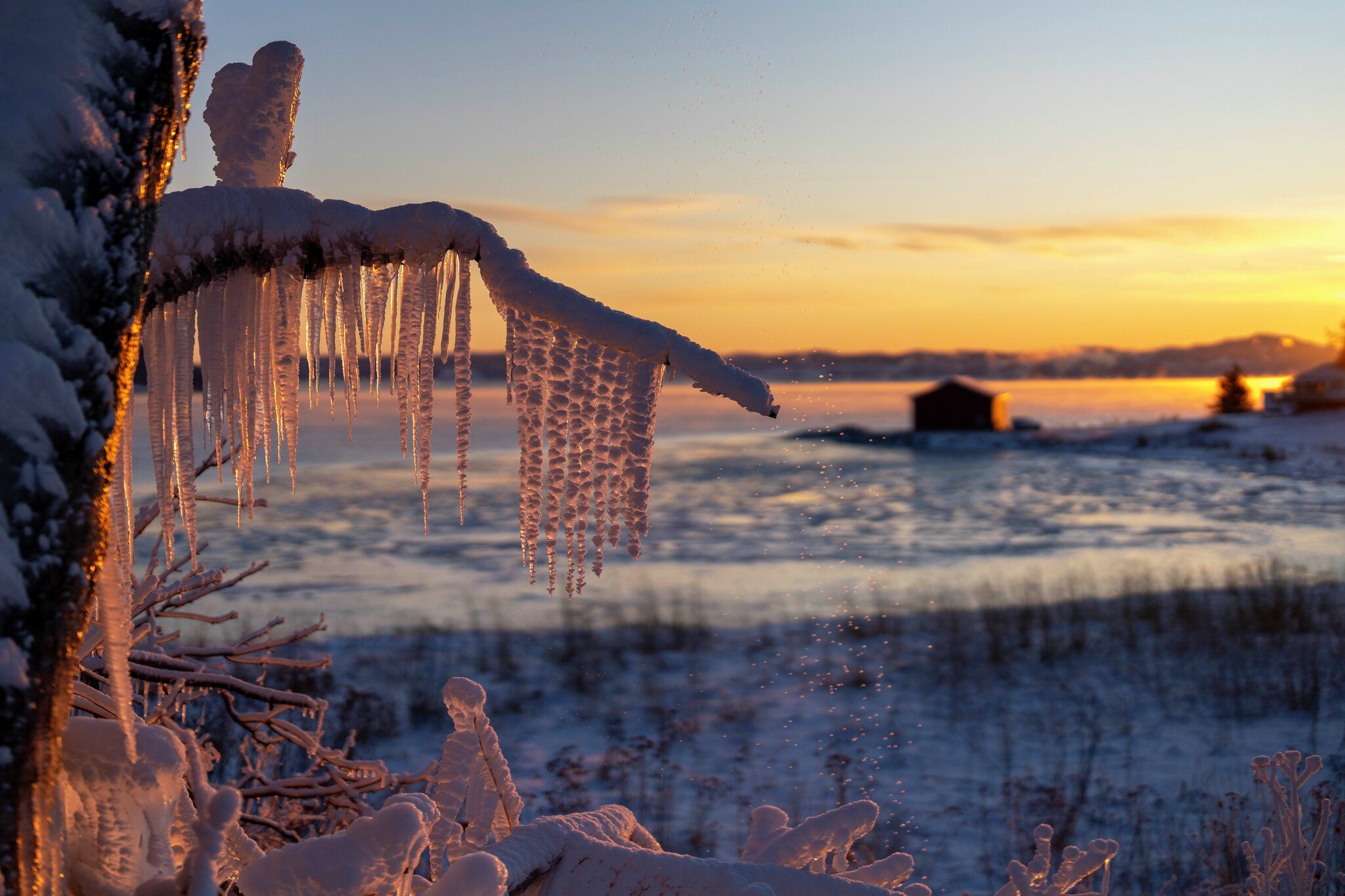 Kald vinterdag med solnedgang