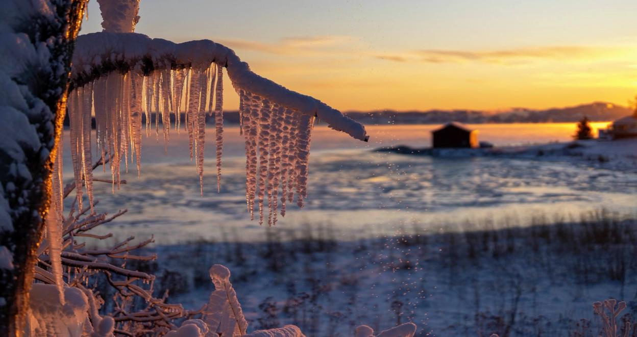 Kald vinterdag med solnedgang