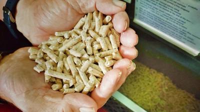 Pellets fylles i biokjel i bolig