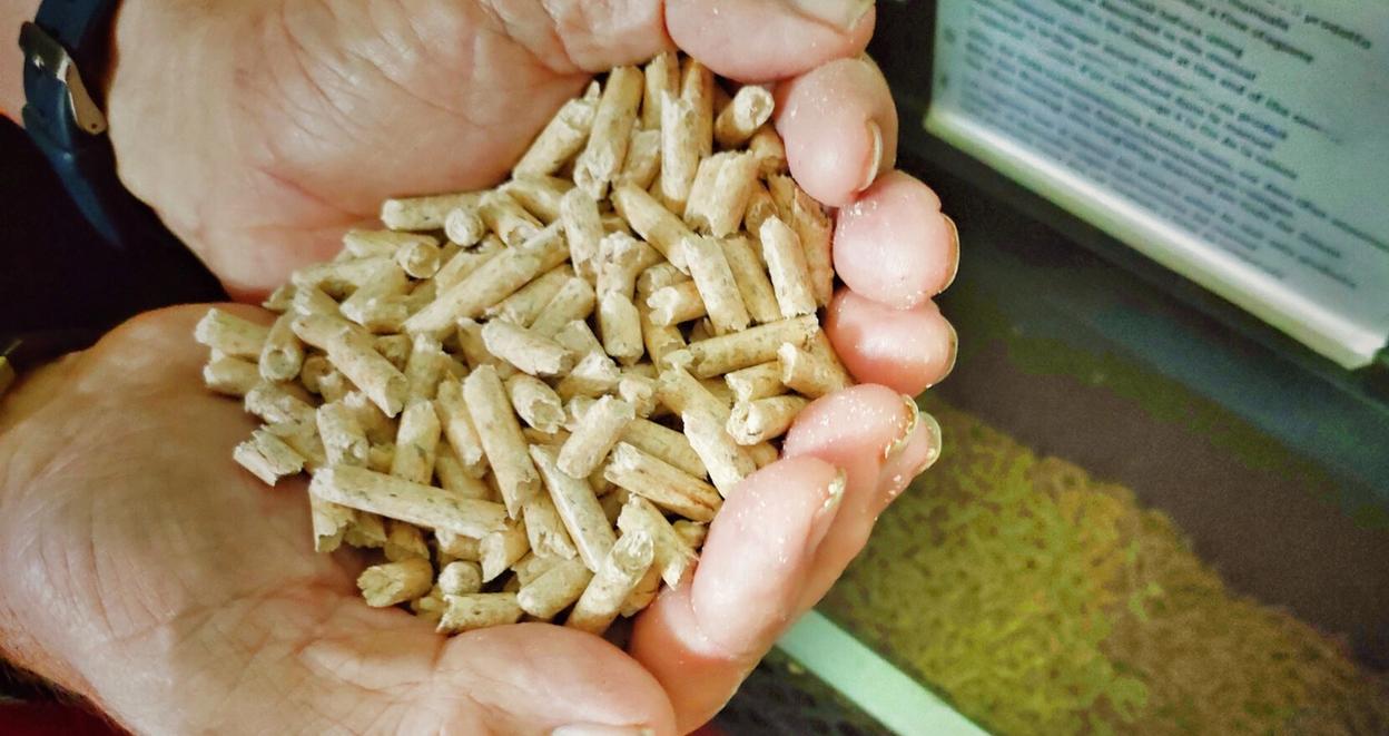 Pellets fylles i biokjel i bolig
