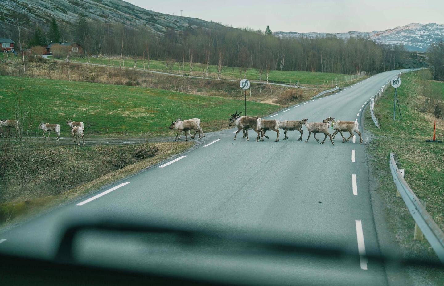 Fra cockpit i lastebil på veien i Nord-Norge