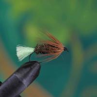 Stick Fly Cased Caddis Nymph