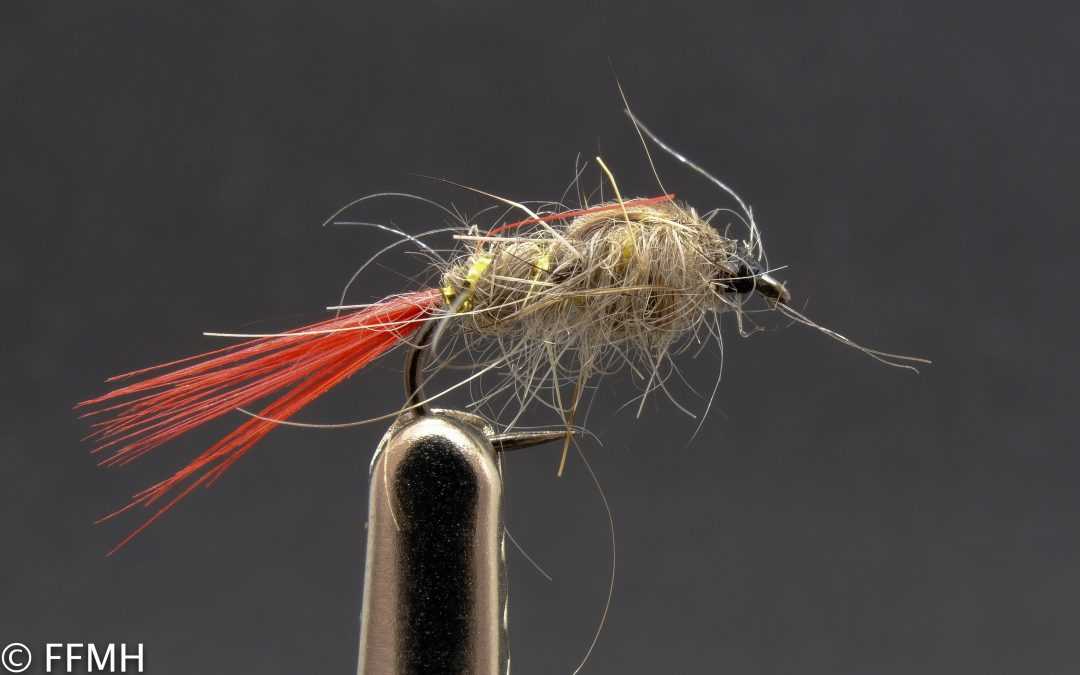 General Pattern Red Tail