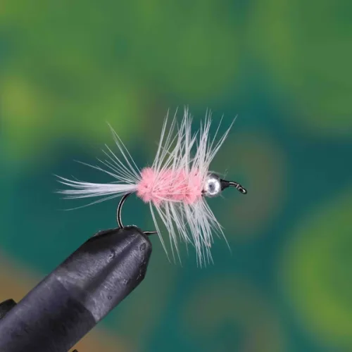Silver Head Pink Nymph