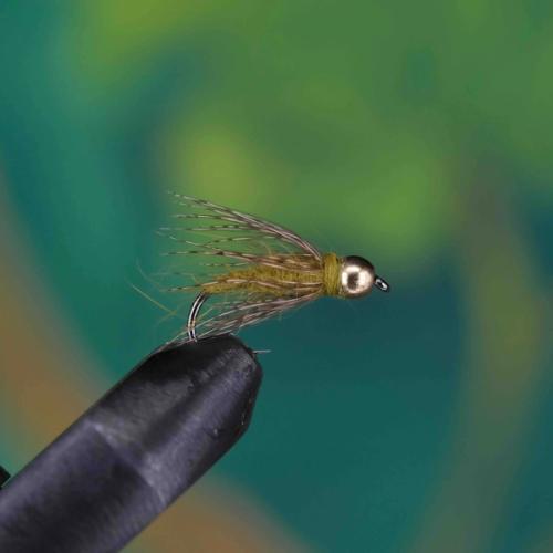 Head Caddis Pupa Nymph