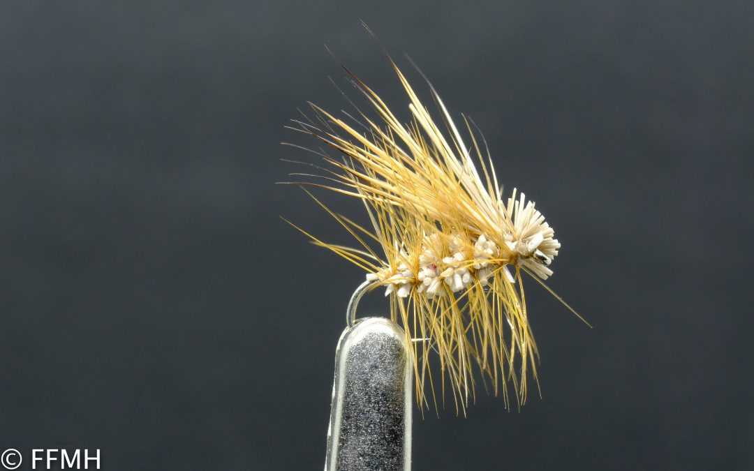 Irresistible Elk Hair Caddis