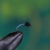 Grayling Blue Flash Midge