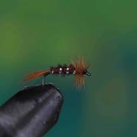 Pheasant Tail Dry Fly
