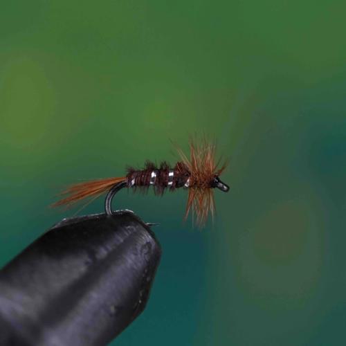 Pheasant Tail Dry Fly