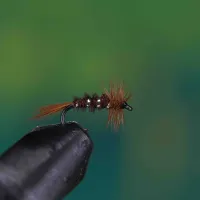 Pheasant Tail Dry Fly