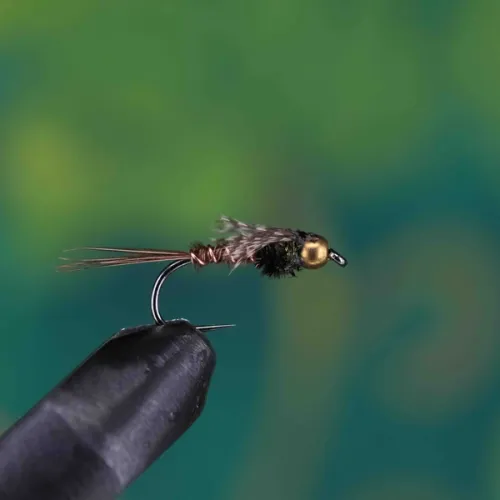 Gold Head Pheasant Tail
