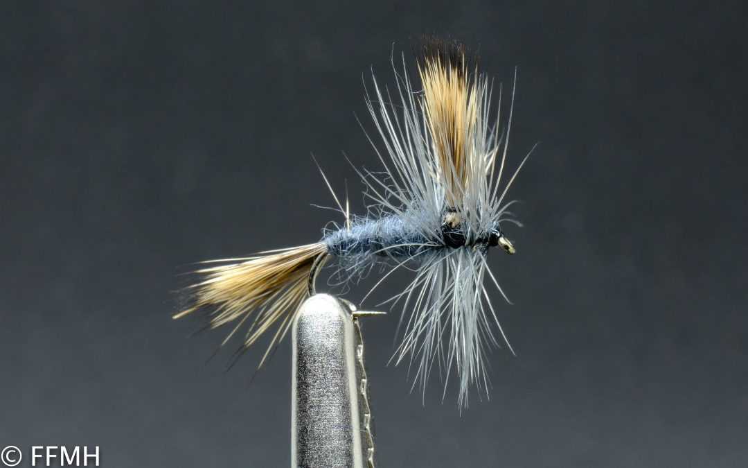 Grey Wulff Mayfly