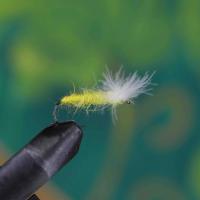 Delta Wing Stonefly Spent Yellow