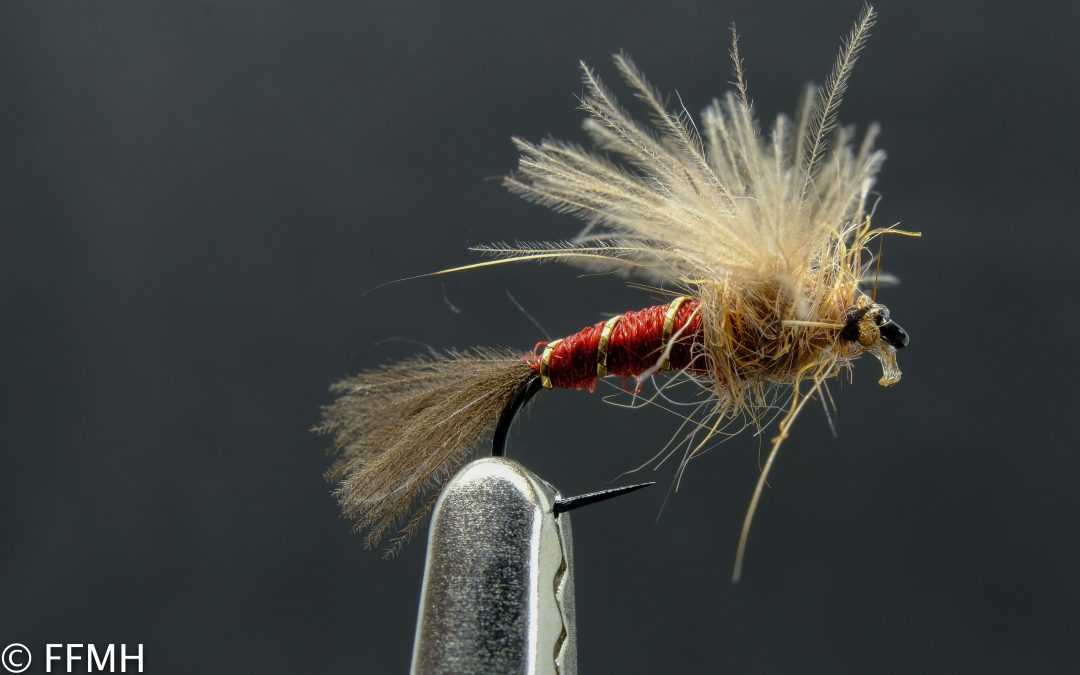 Split Wing Emerger