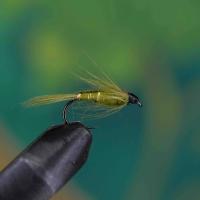 Damsel Fly Green
