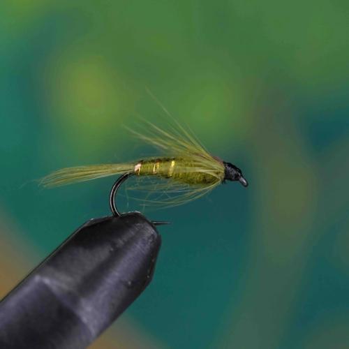 Damsel Fly Green