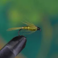 Damsel Fly Green