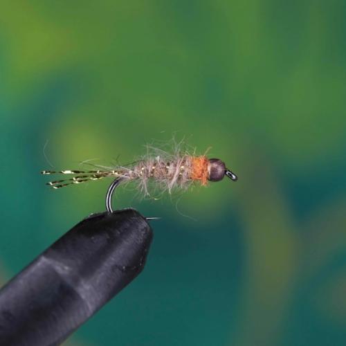 Orange Thorax Hares Ear