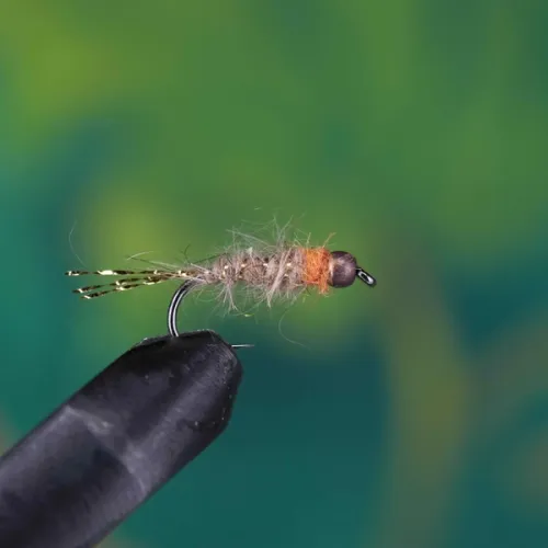 Orange Thorax Hares Ear