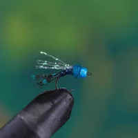 Blue Nymph