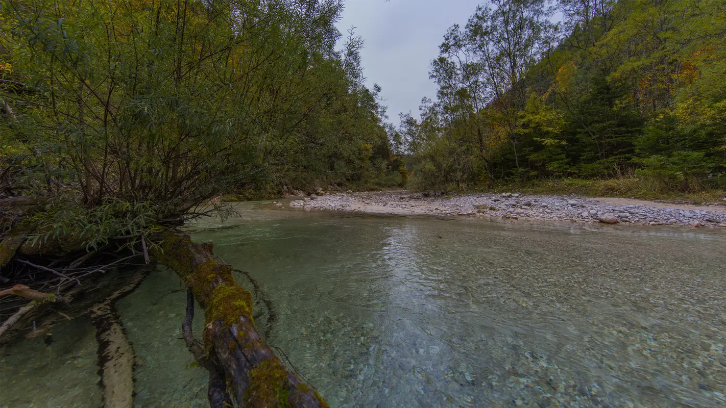 Fliegenfischen mit Herz