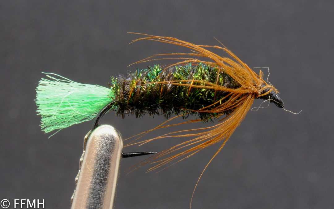 Stick Fly Cased Caddis Nymph